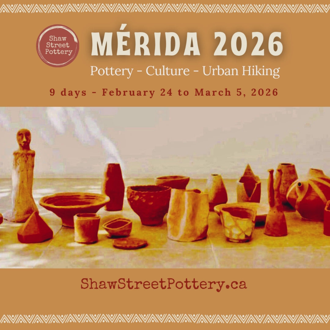 MÉRIDA 2026 - Registration